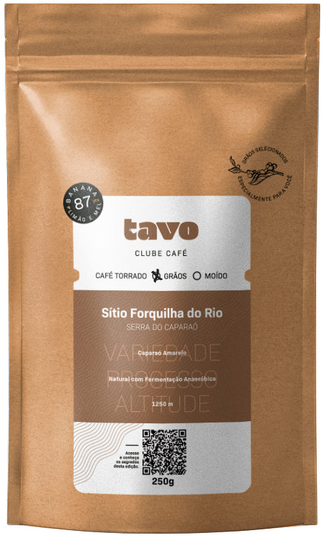 Sítio Forquilha do Rio