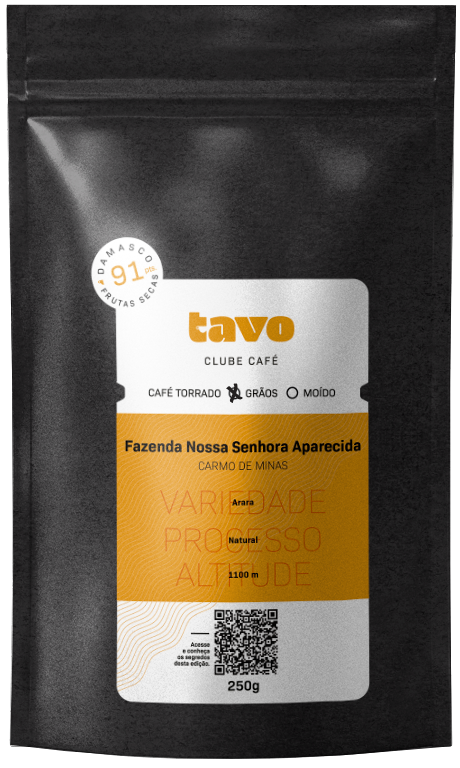 Fazenda Nossa Senhora Aparecida