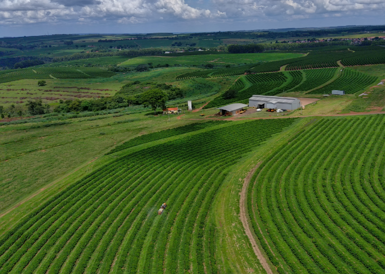 Respeito ao ser humano e ao meio ambiente!