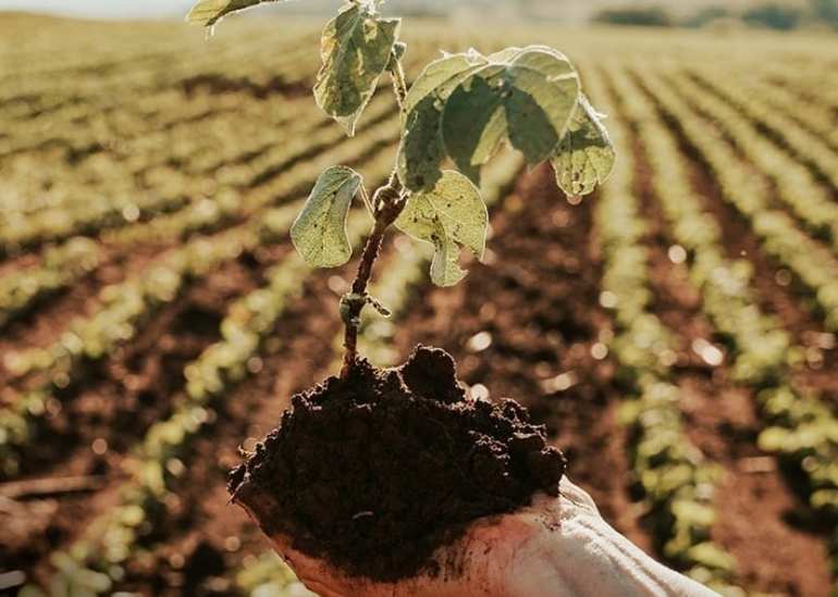 “É a Natureza agradecendo aos bons tratos e ao carinho que proporcionamos à Ela”.