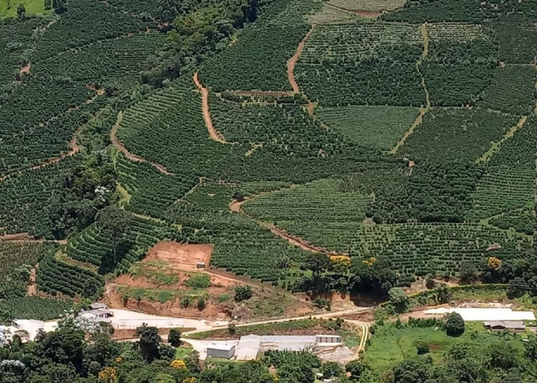 Café campeão do produtor José Alexandre Lacerda que ganhou vários concursos como Coffee of the Year(2 vezes), ABIC(3 vezes), mineiro(6 vezes).