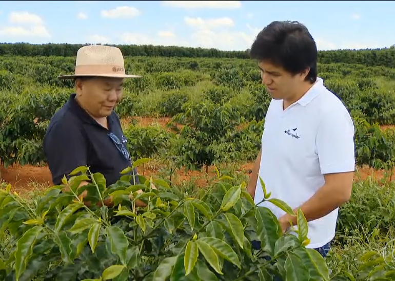A receita de um bom café não está só no preparo, mas também na qualidade e seleção dos seus grãos.