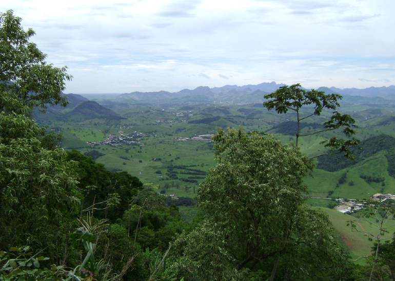 O objetivo da torra é exaltar as notas mais delicadas e a acidez. 