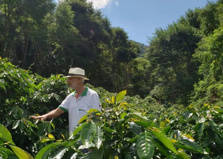 Por trás do bom cheiro da fumaça quente do café, está um trabalho apaixonante!