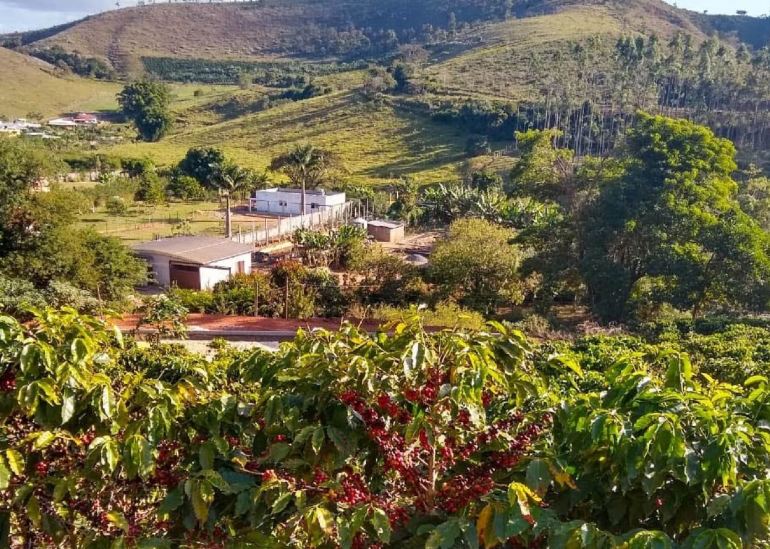 Município de Cajuri/MG