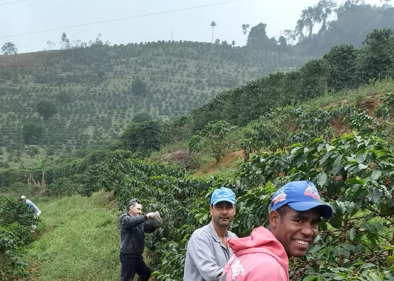 Café com história e natureza em cada xícara.