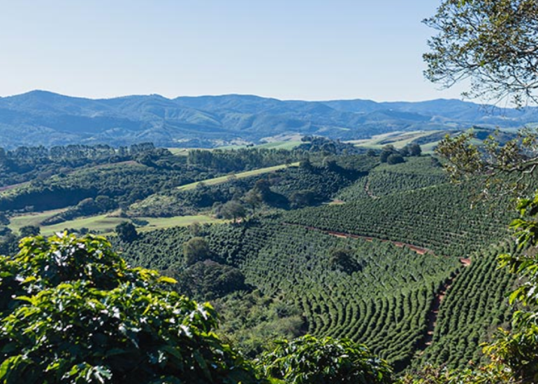 Com o tempo, o aprimoramento se tornou constante.