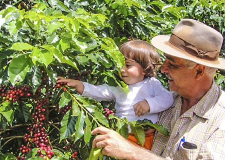 Estamos nos preparando para o futuro.