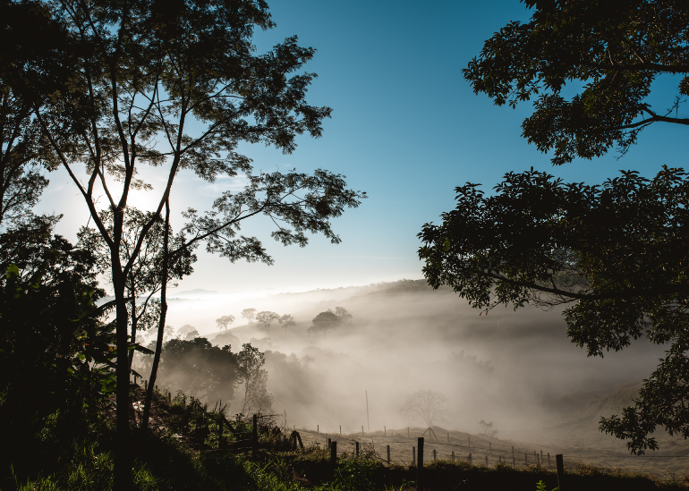 Amanhecer na Fazenda